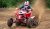 Maxxis Razr Plus MX 20x6-10 20x6-10