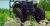 ITP Terra Hook 32x10-14 32x10-14
